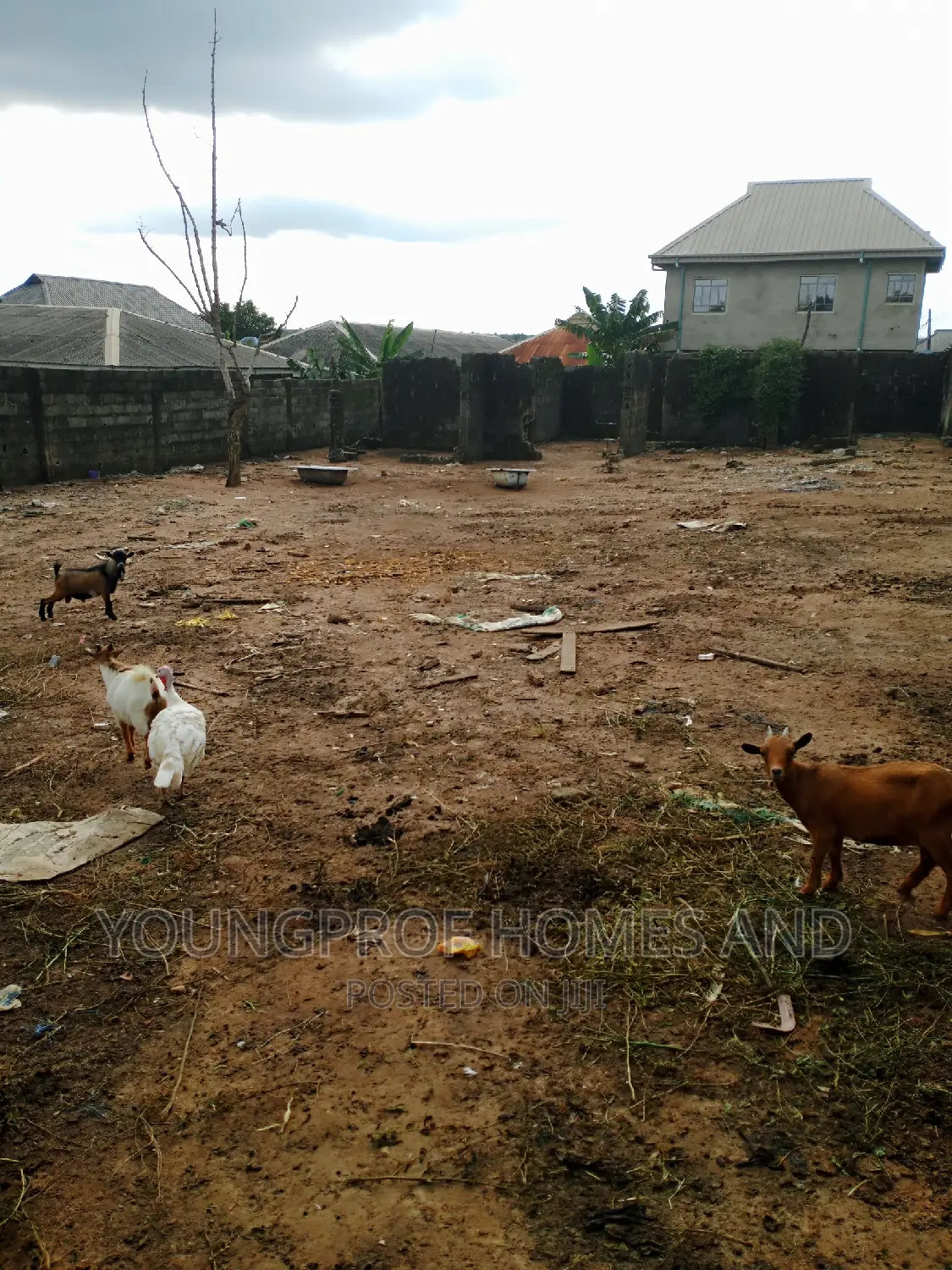 A Plot of Land Fenced With Gate at Igando in Igando / Ikotun/Igando