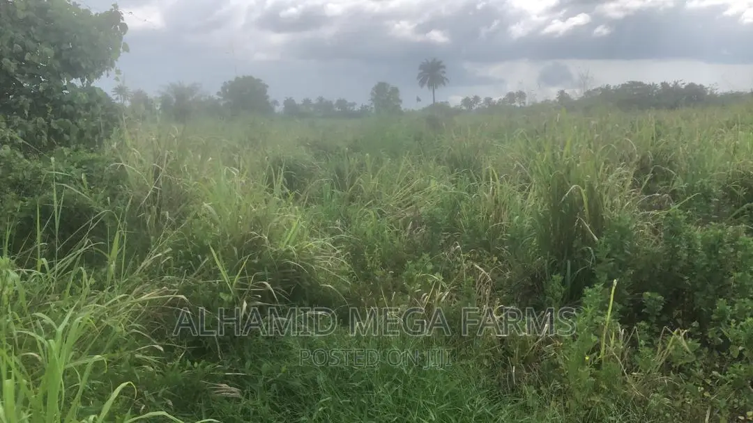 400 Acres of Farmland for Sale at 140,000 Per Acre in Iwajowa
