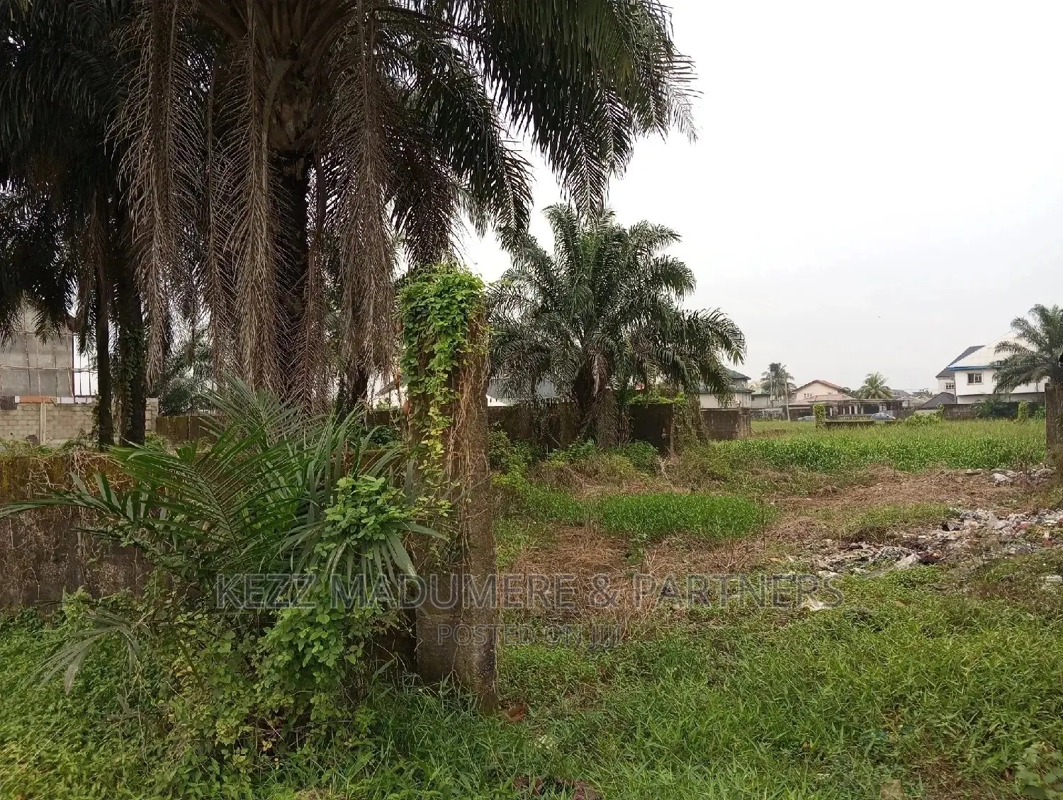 Land for Sale,Near Nkpolu Junction, Obi Wali, Rumuigbo in Port-Harcourt