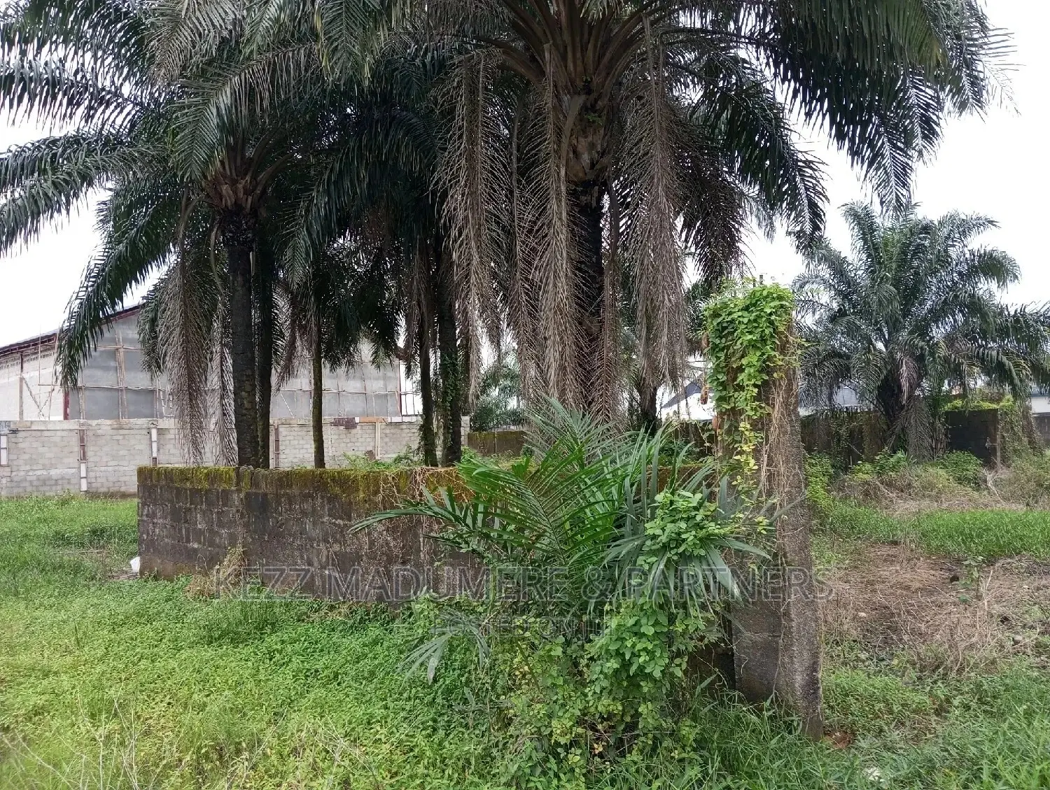 Land for Sale,Near Nkpolu Junction, Obi Wali, Rumuigbo in Port-Harcourt