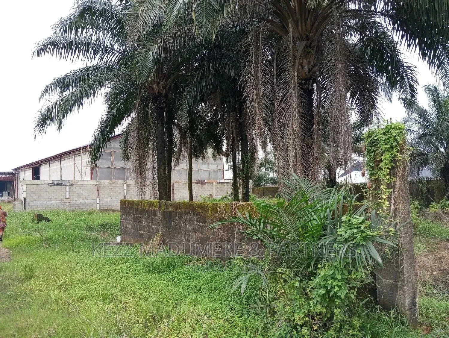 Land for Sale,Near Nkpolu Junction, Obi Wali, Rumuigbo in Port-Harcourt