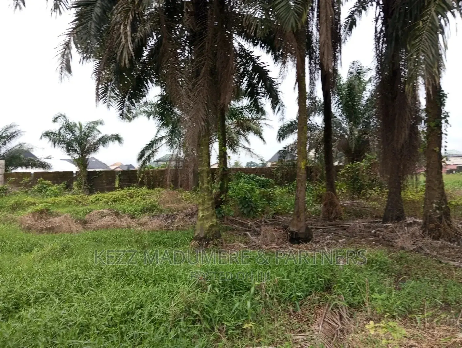 Land at Eneka Igboetche Road in Port-Harcourt