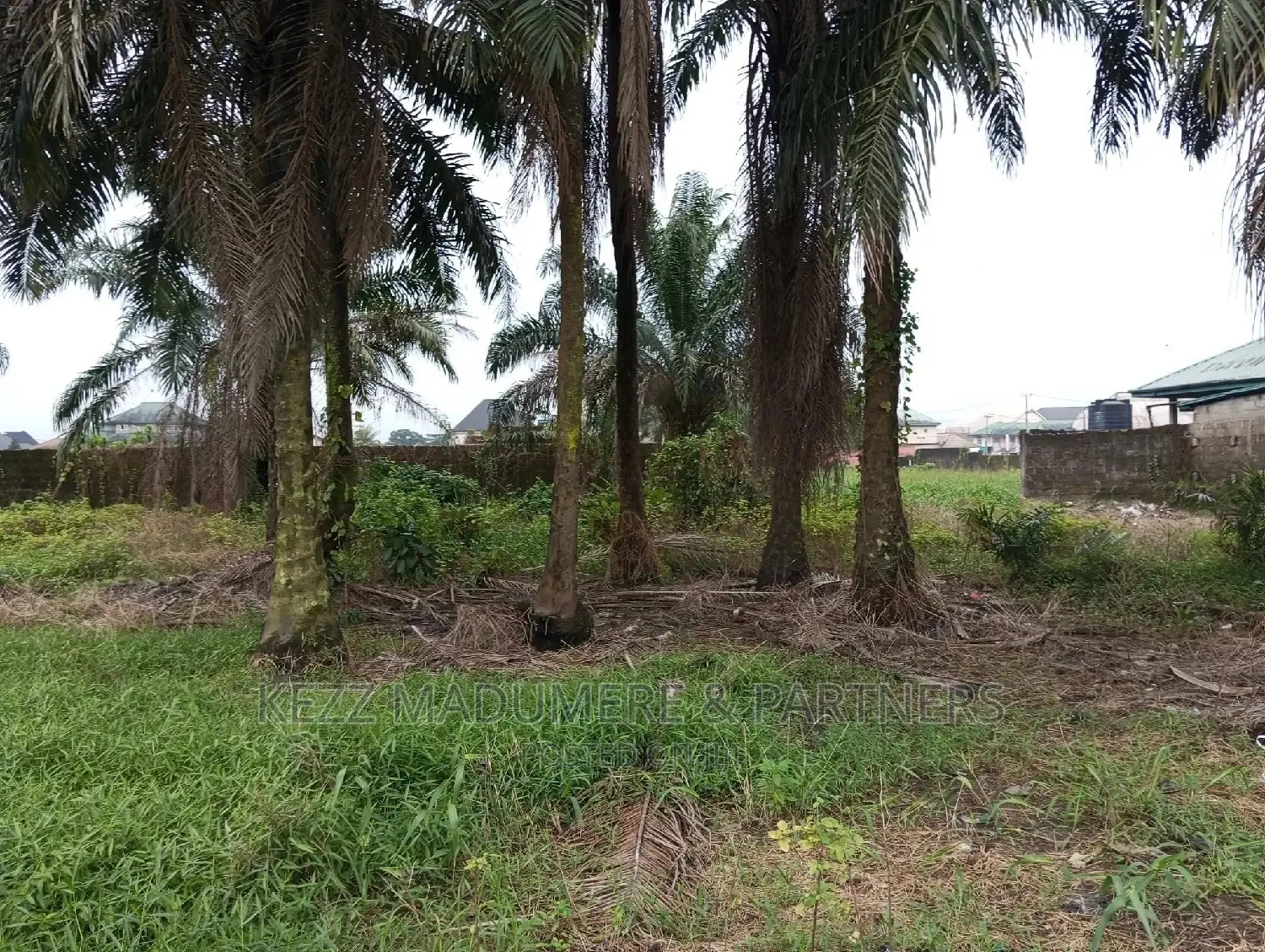 Land for Sale at Igwuruta in Port-Harcourt