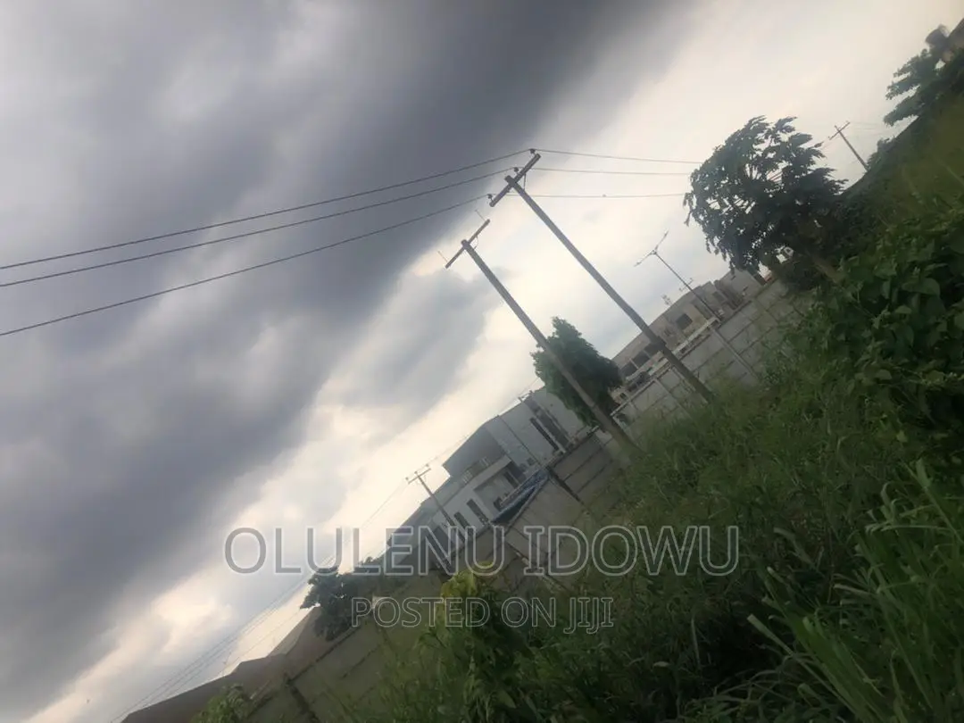 2 Plot of Land Facing Iyanapaja Road For Sale in Alimosho