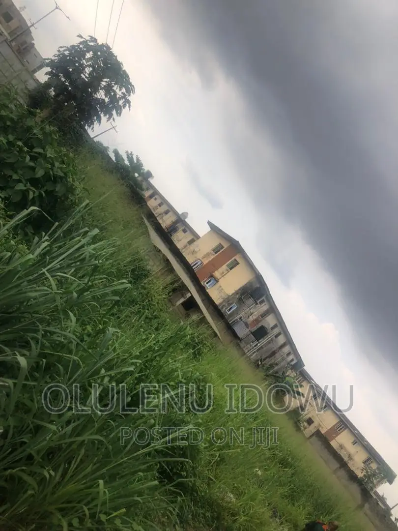 2 Plot of Land Facing Iyanapaja Road For Sale in Alimosho