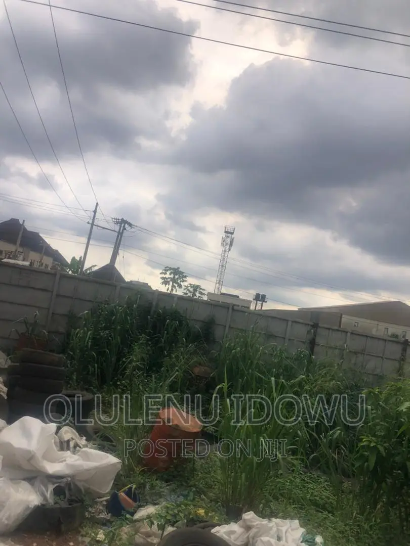 2 Plot of Land Facing Iyanapaja Road For Sale in Alimosho