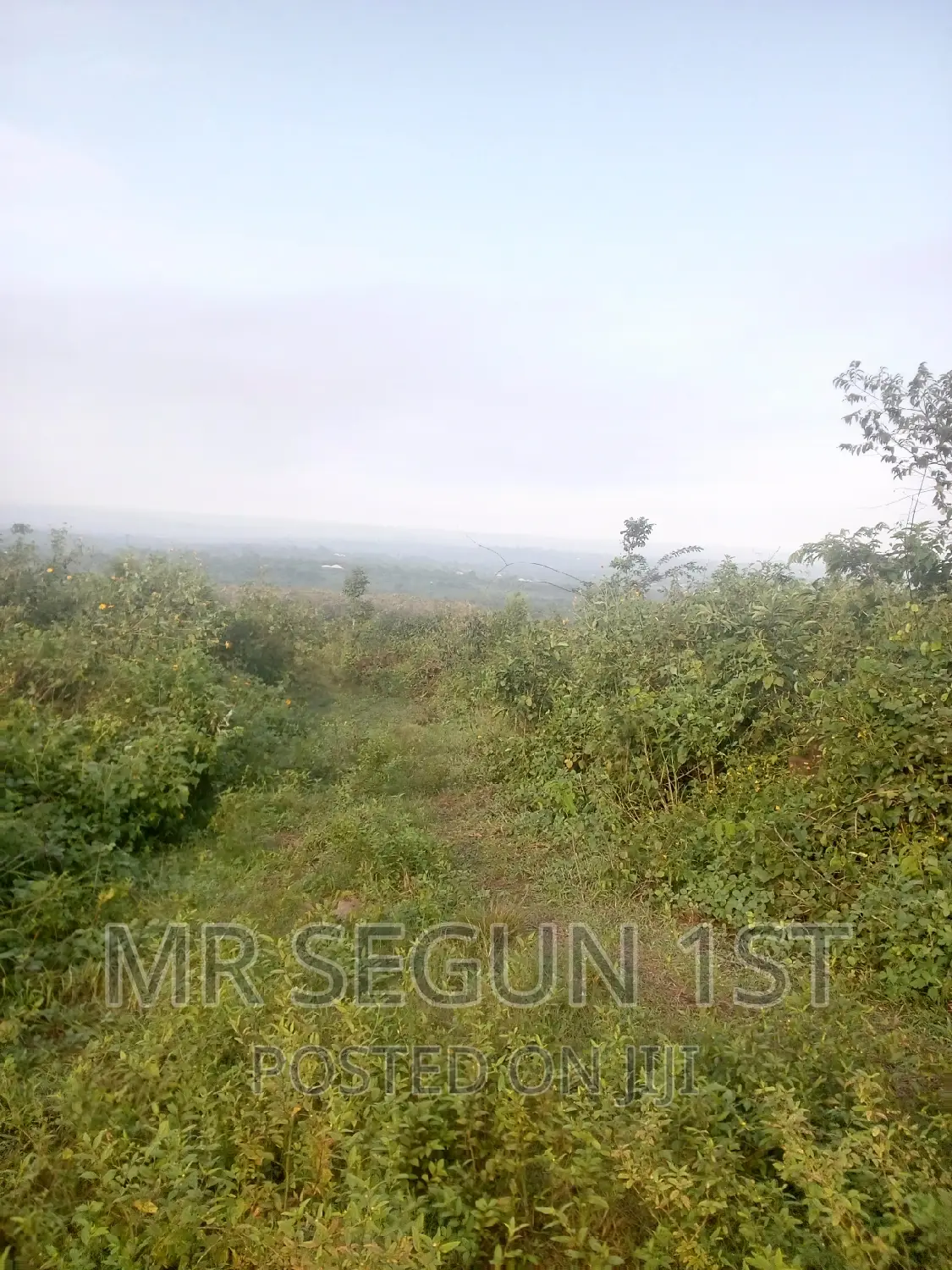 5 Acers of Bitumen Land for Sale in Oluyole