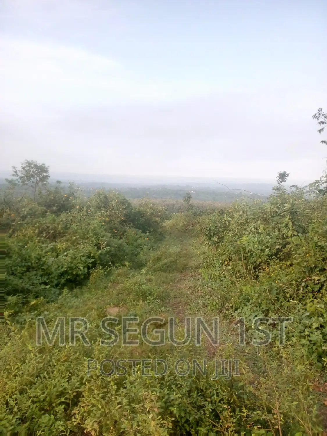 5 Acers of Bitumen Land for Sale in Oluyole