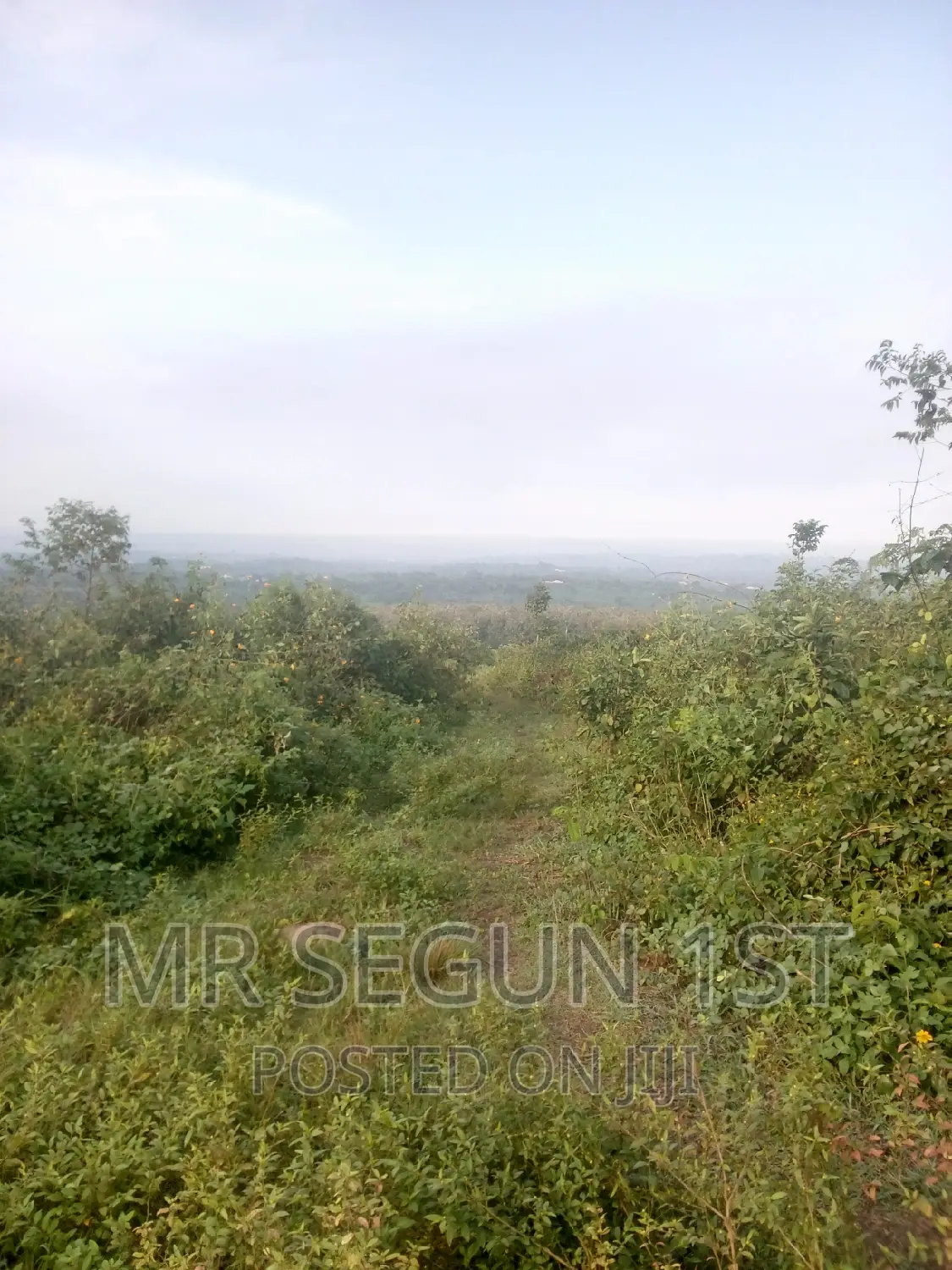 5 Acers of Bitumen Land for Sale in Oluyole