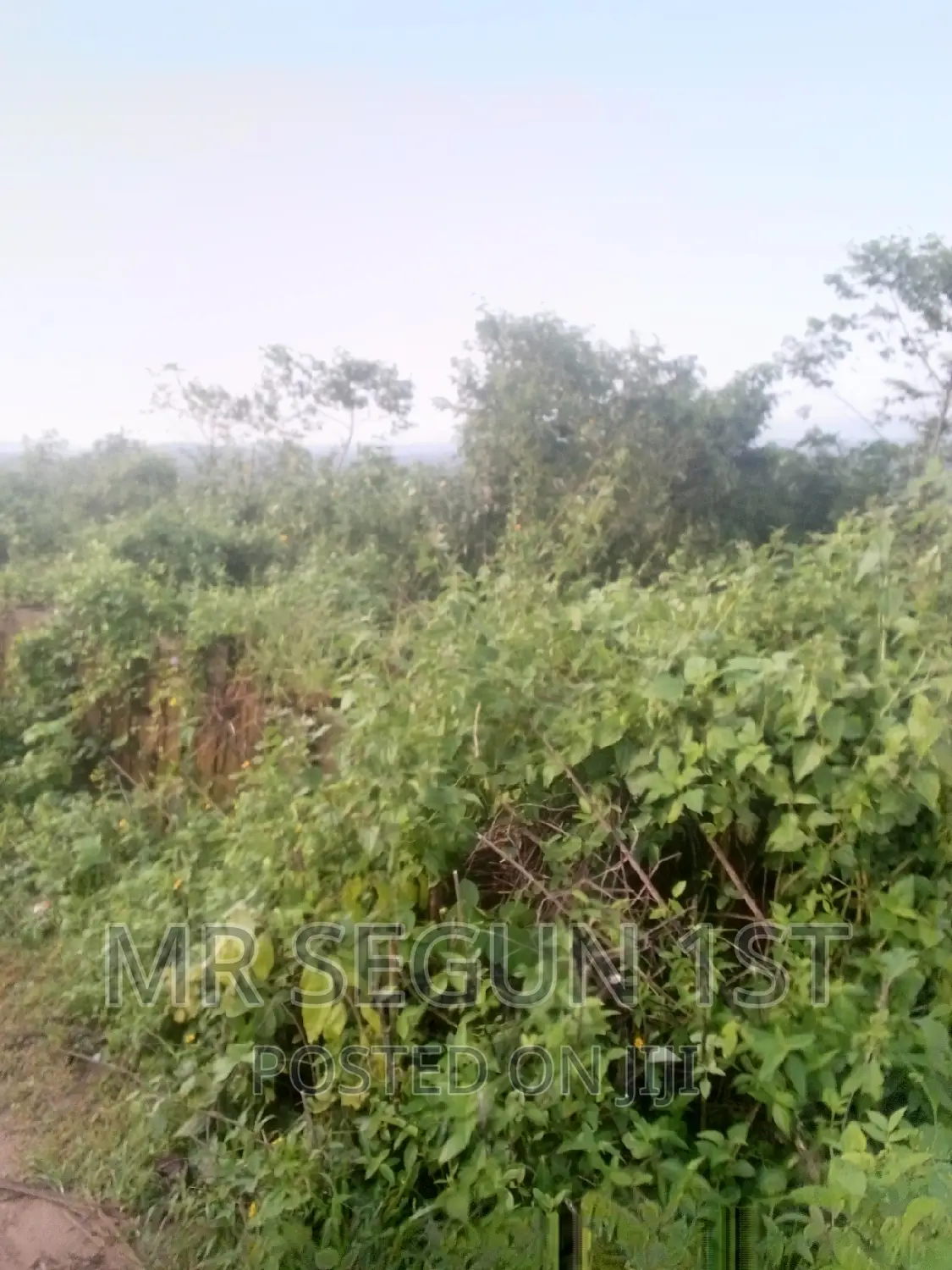 5 Acers of Bitumen Land for Sale in Oluyole