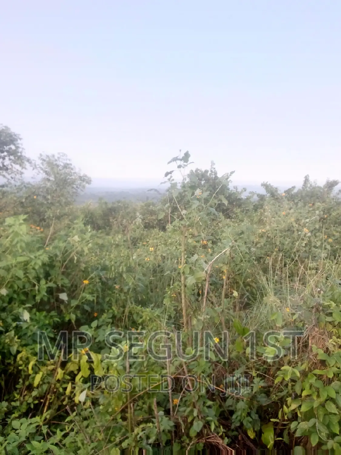 5 Acers of Bitumen Land for Sale in Oluyole