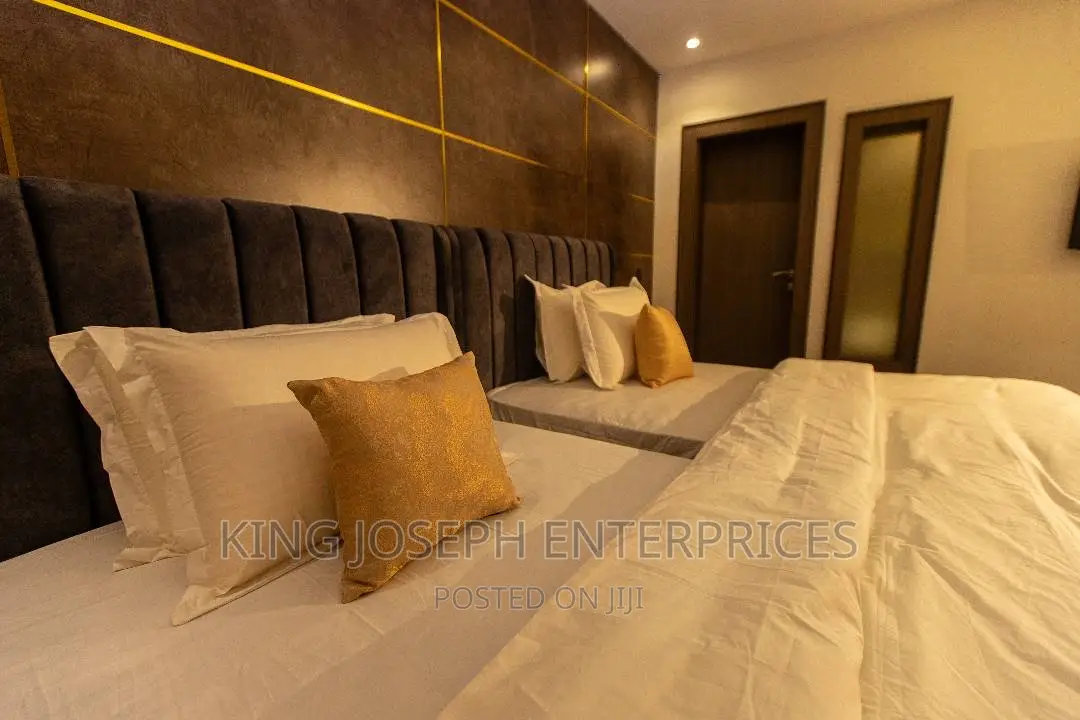 100% Luxury 3 Bedroom Apartment Wuse 2 ( With a Garden) in Wuse 2