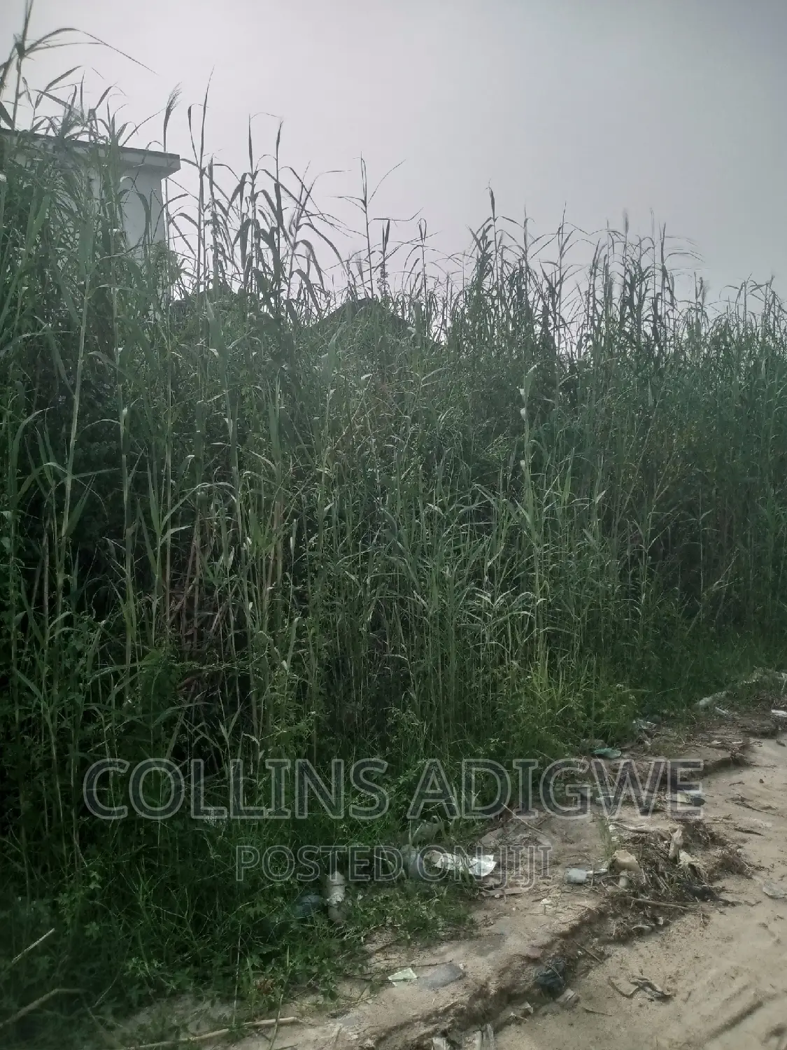 2 Plots of Land at Lekki Palm City -AJAH in Ado / Ajah
