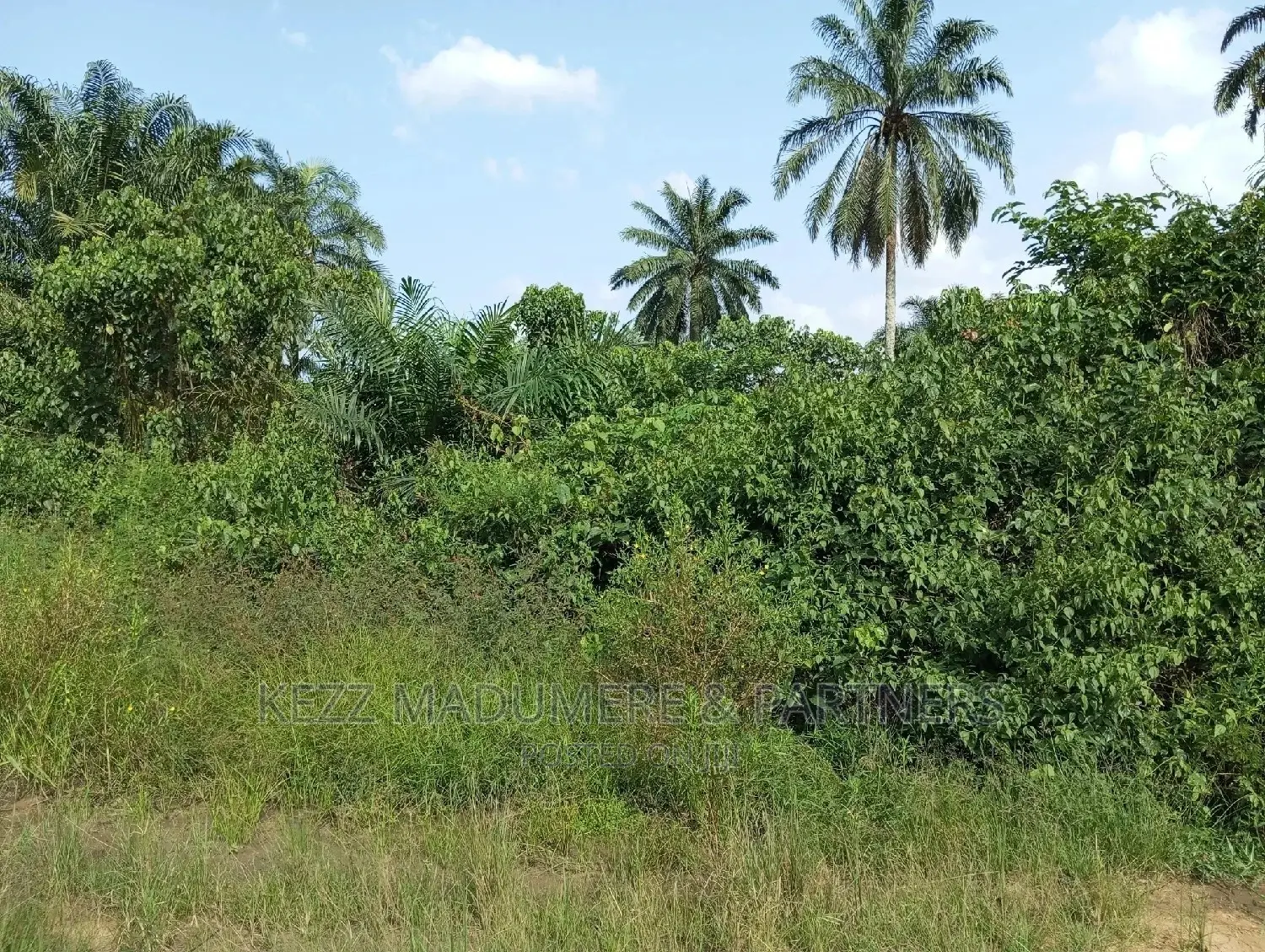 For Sale: 11 1⁄2 Plots at Back of County Grammar School in Port-Harcourt
