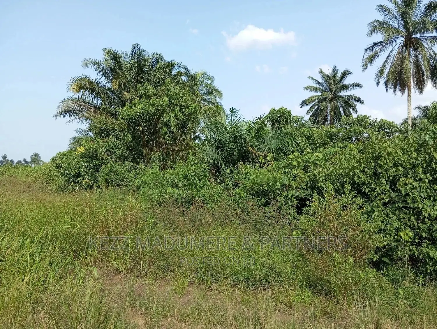 For Sale: 11 1⁄2 Plots at Back of County Grammar School in Port-Harcourt