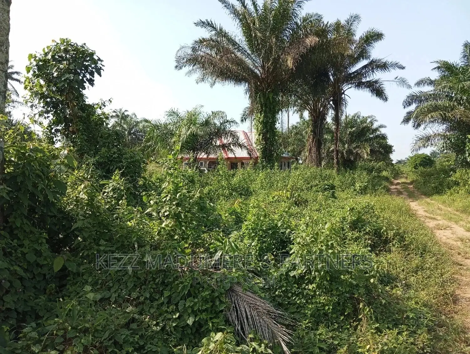 For Sale: 11 1⁄2 Plots at Back of County Grammar School in Port-Harcourt