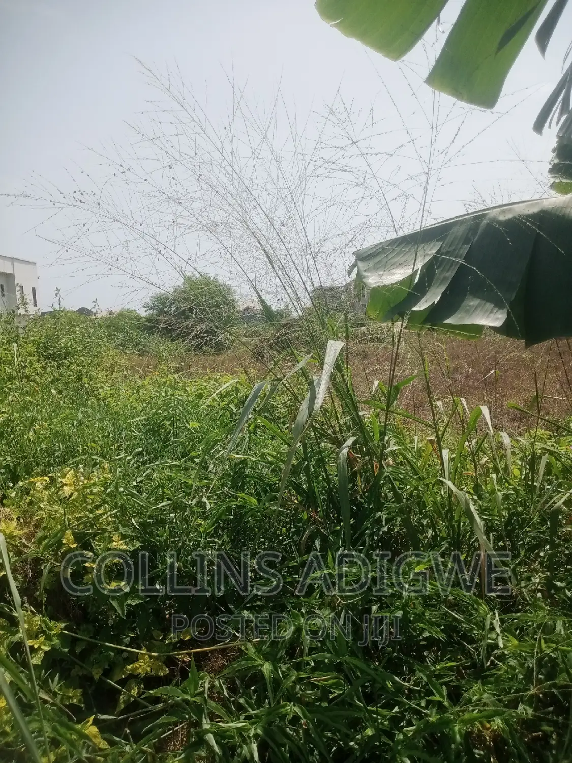 1500sqm Land at Royal Garden Estate -Ajah in Ajah