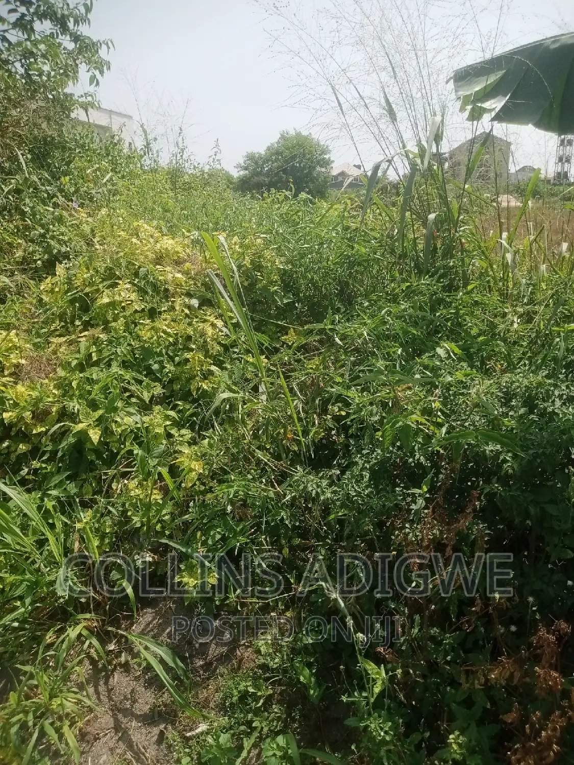 1500sqm Land at Royal Garden Estate -Ajah in Ajah