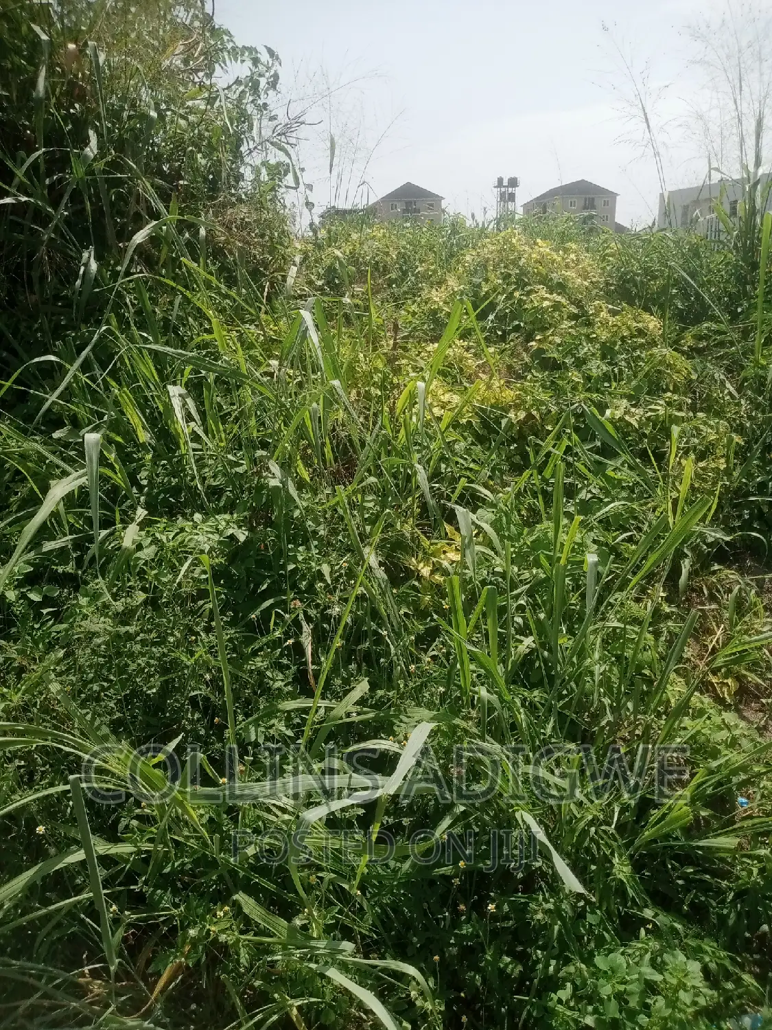1500sqm Land at Royal Garden Estate -Ajah in Ajah