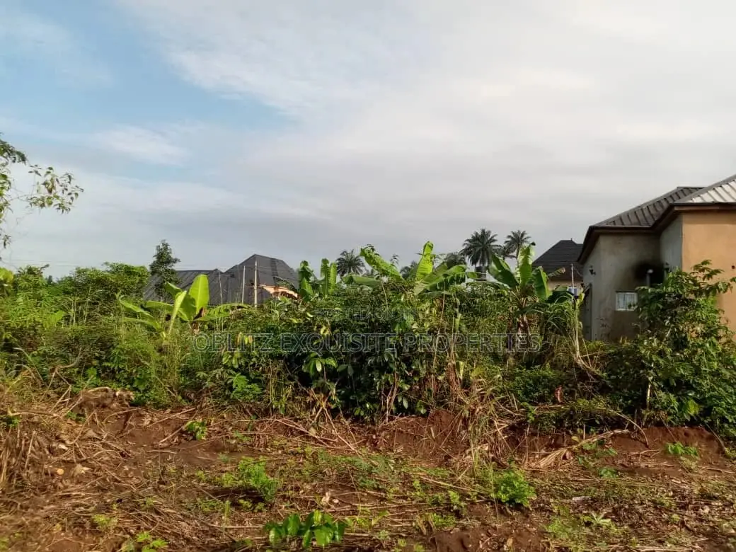 Buy and Build Land Along Aba Rd for Sale in Owerri