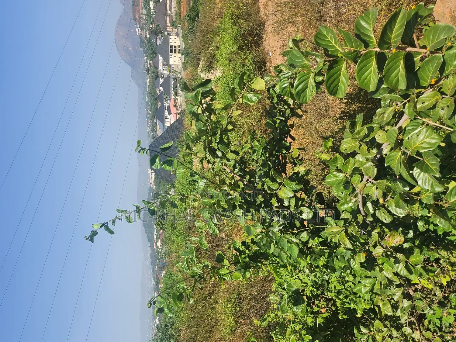 Certificate of Occupancy in Asokoro