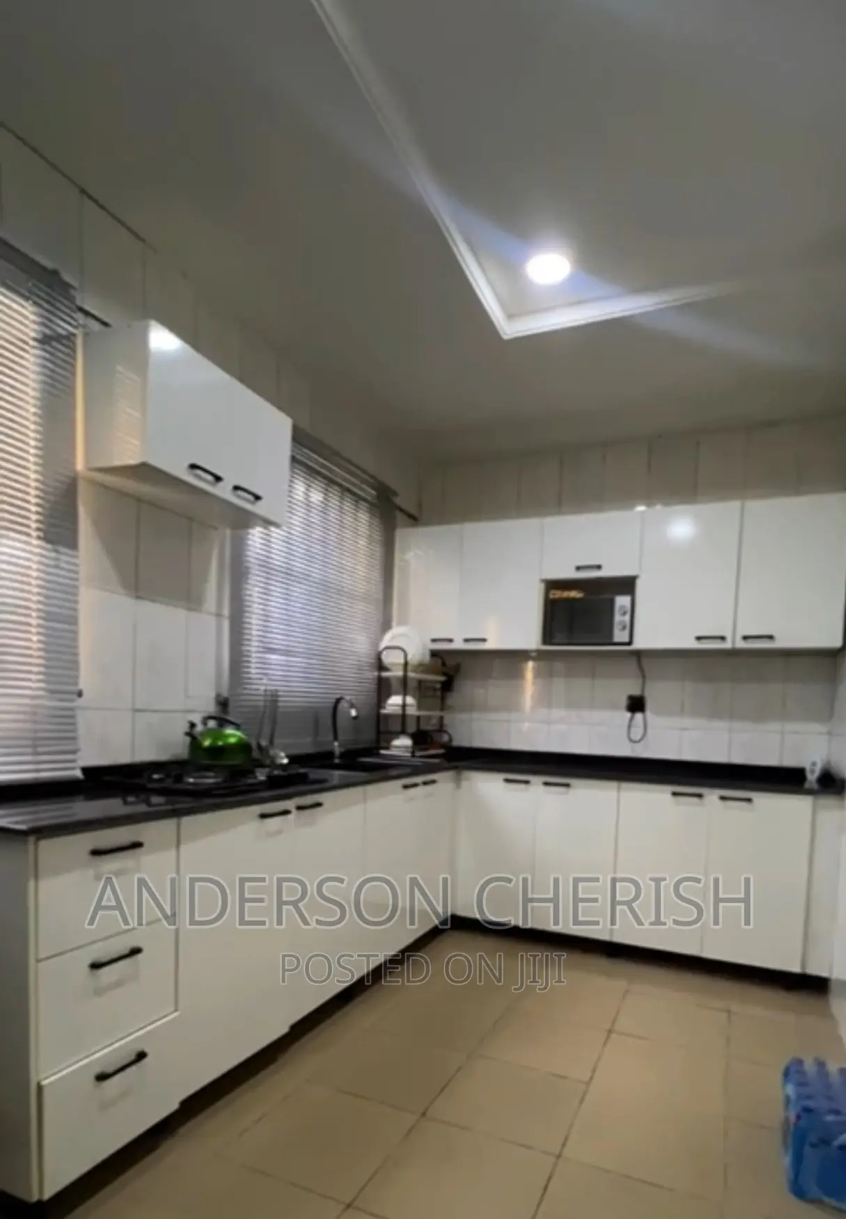 Luxury and Tastefully Furnished Apartment in Apo District