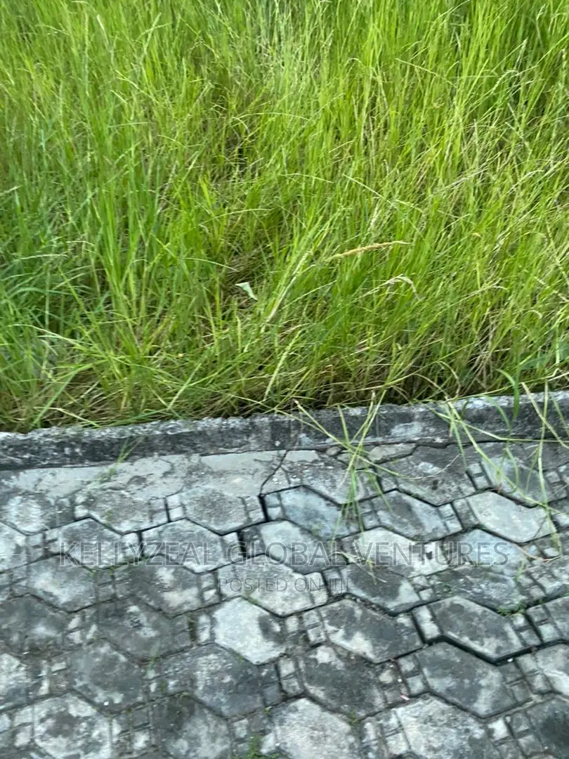 Plot of Land for Sale at Startimes Estate. in Apple Junction