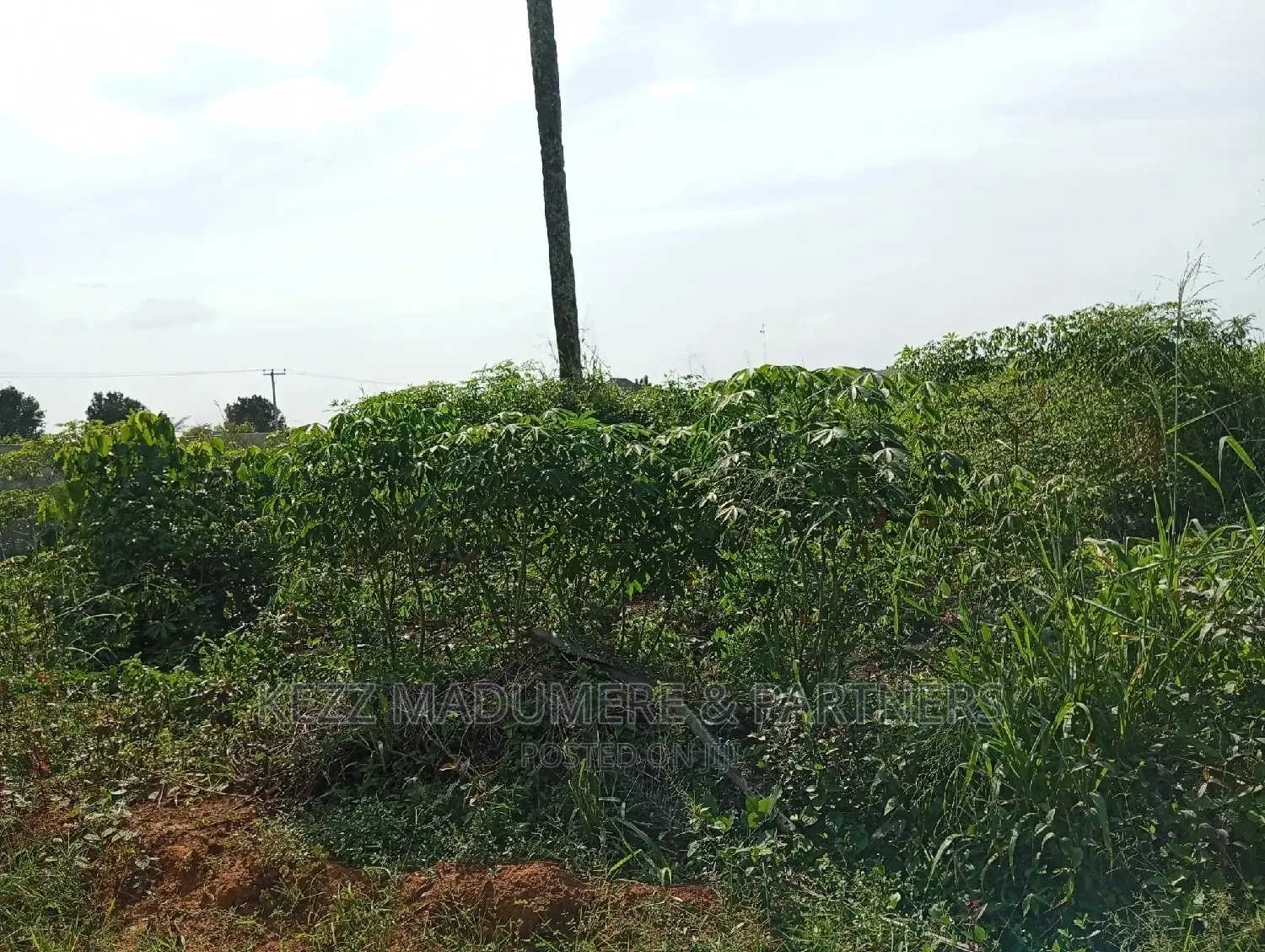 For Sale Land at Redeem Camp Road in Port-Harcourt