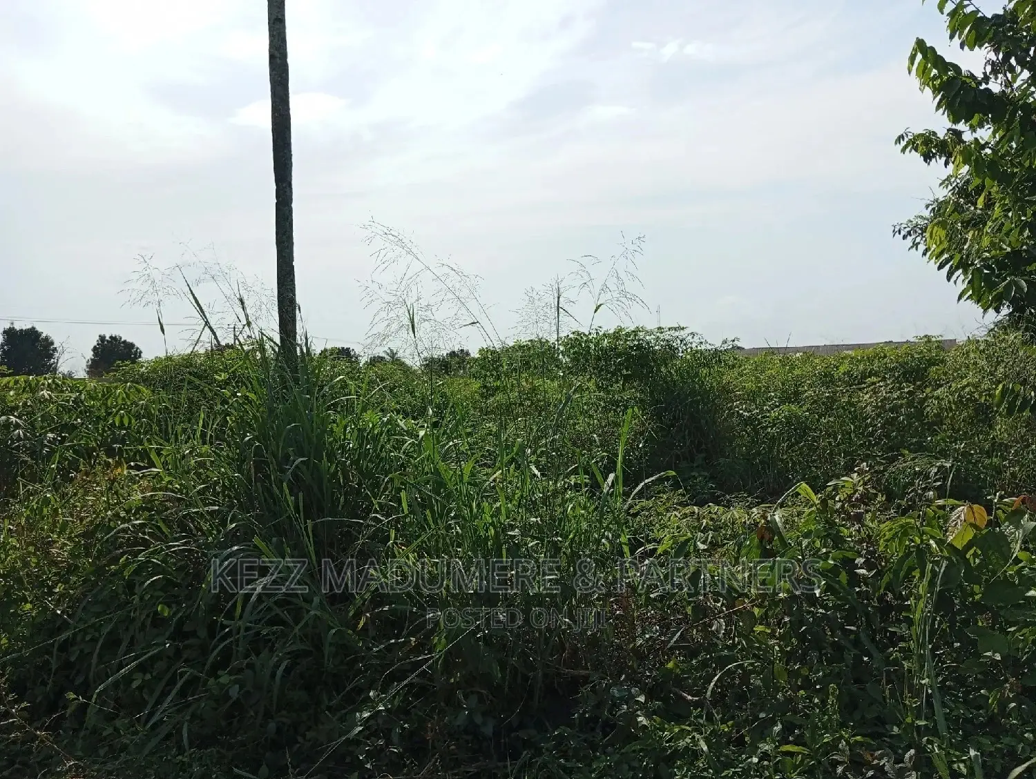 For Sale Land at Redeem Camp Road in Port-Harcourt