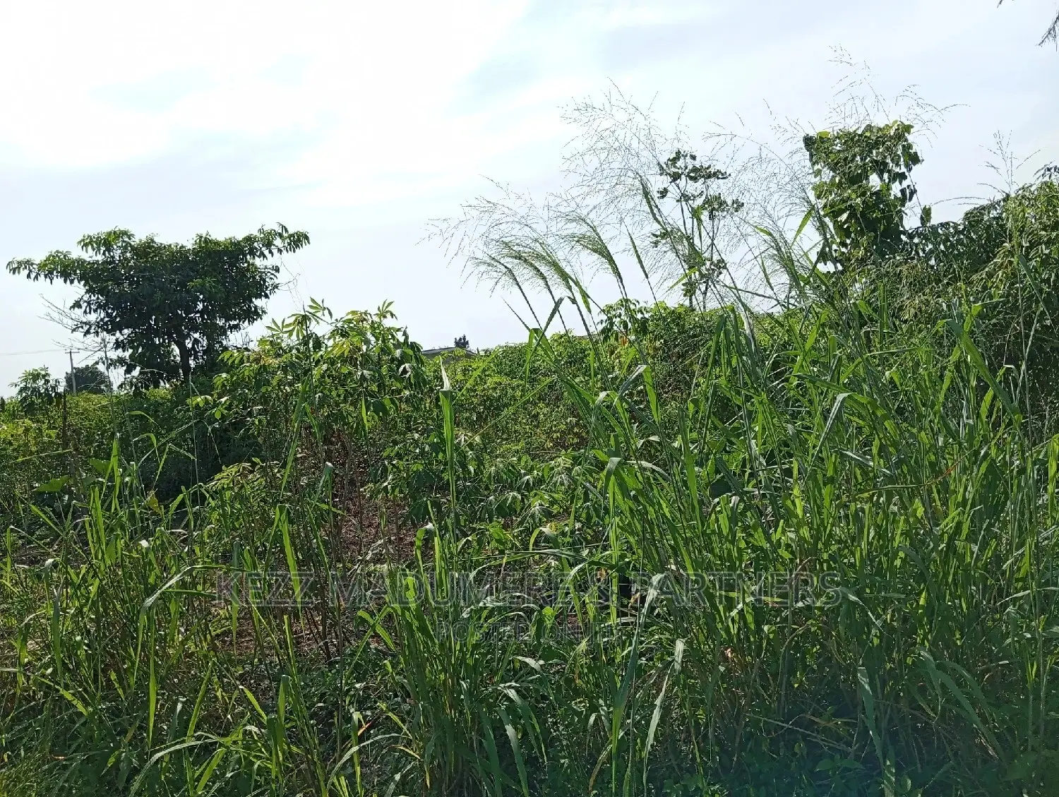 For Sale: 2plots at Redeem Church Prayer Camp in Port-Harcourt