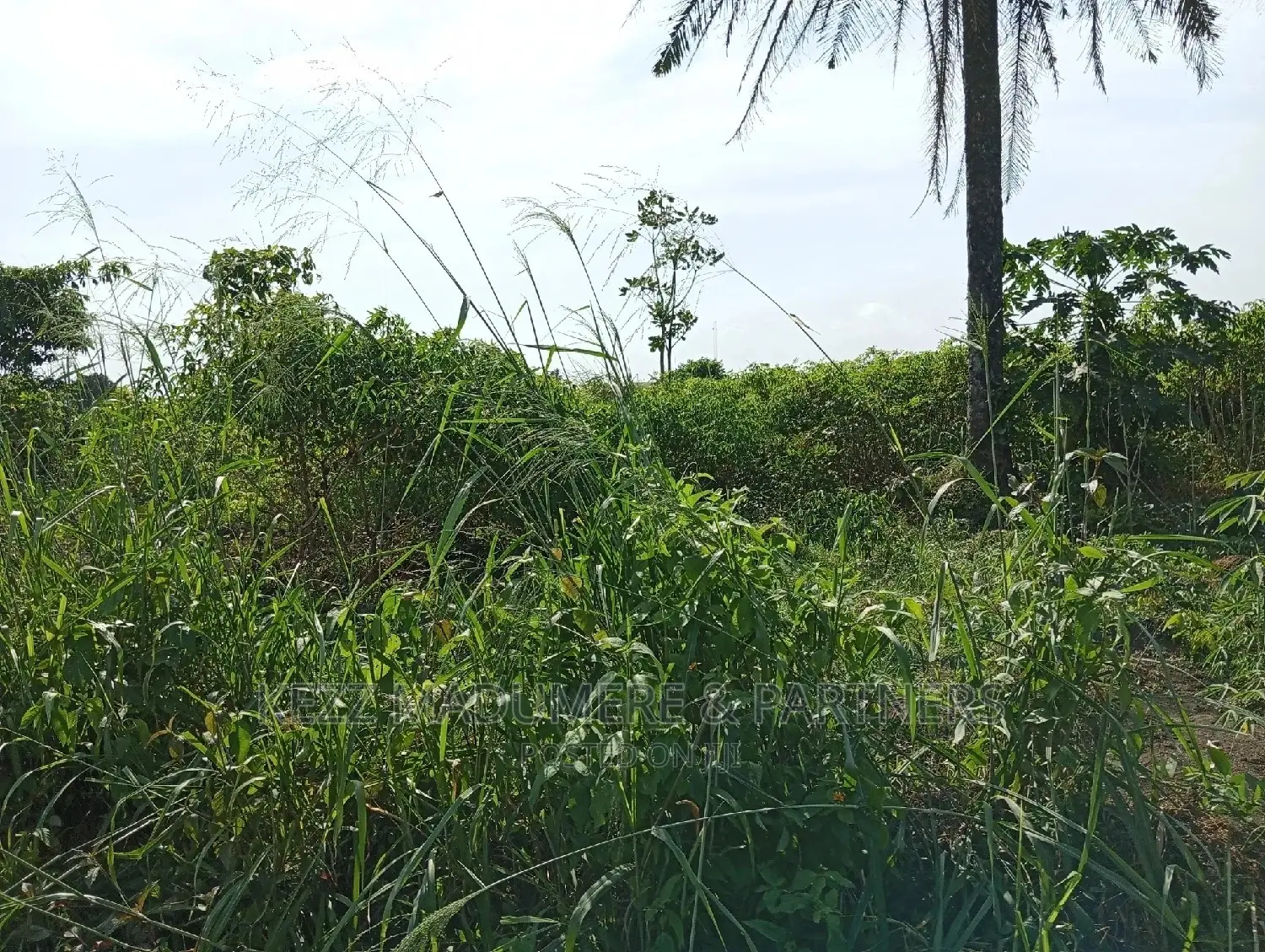 For Sale: 2plots at Redeem Church Prayer Camp in Port-Harcourt