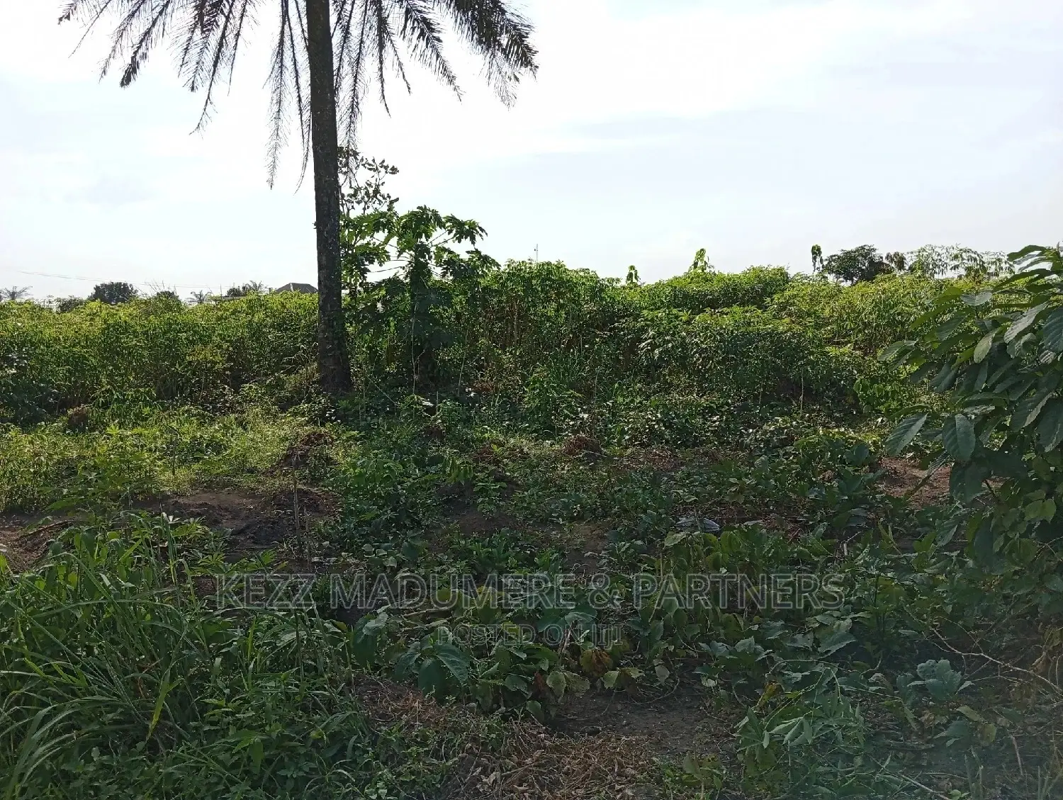 For Sale: 2plots at Redeem Church Prayer Camp in Port-Harcourt