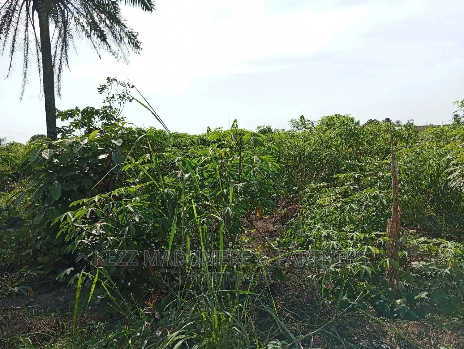 For Sale: 2plots at Redeem Church Prayer Camp in Port-Harcourt