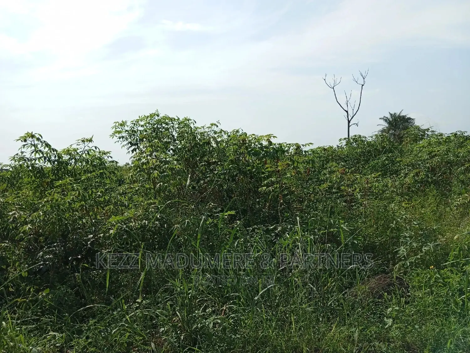 For Sale: 2plots at Redeem Church Prayer Camp in Port-Harcourt