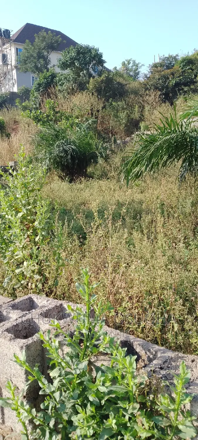 Right of Ownership in Dawaki