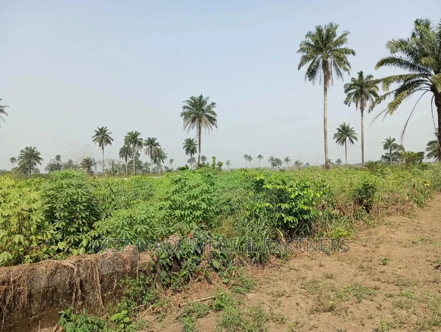 For Sale: 5 Plots at Redeem Camp Road, Rukpokwu in Port-Harcourt