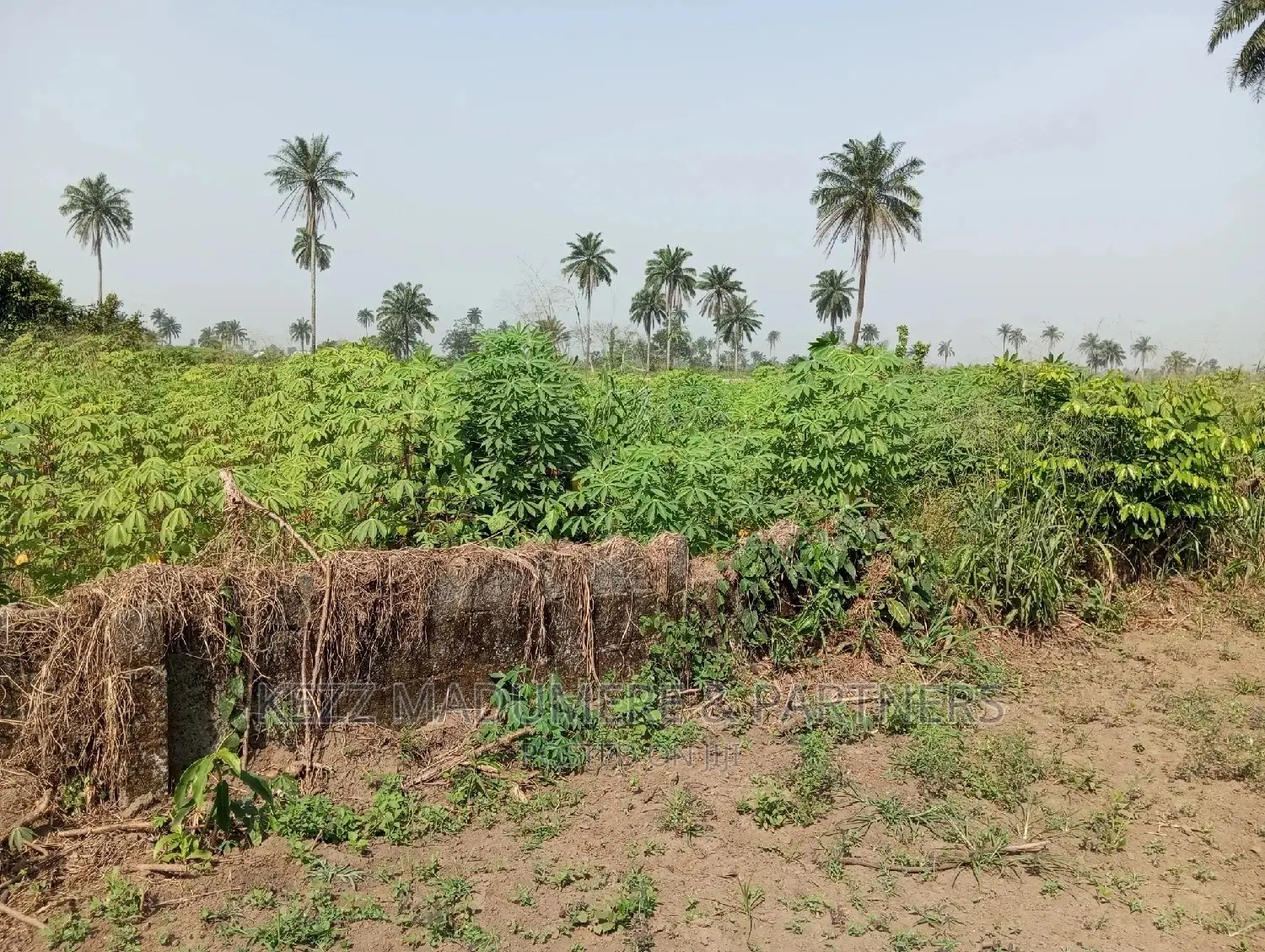 For Sale: 5 Plots at Redeem Camp Road, Rukpokwu in Port-Harcourt