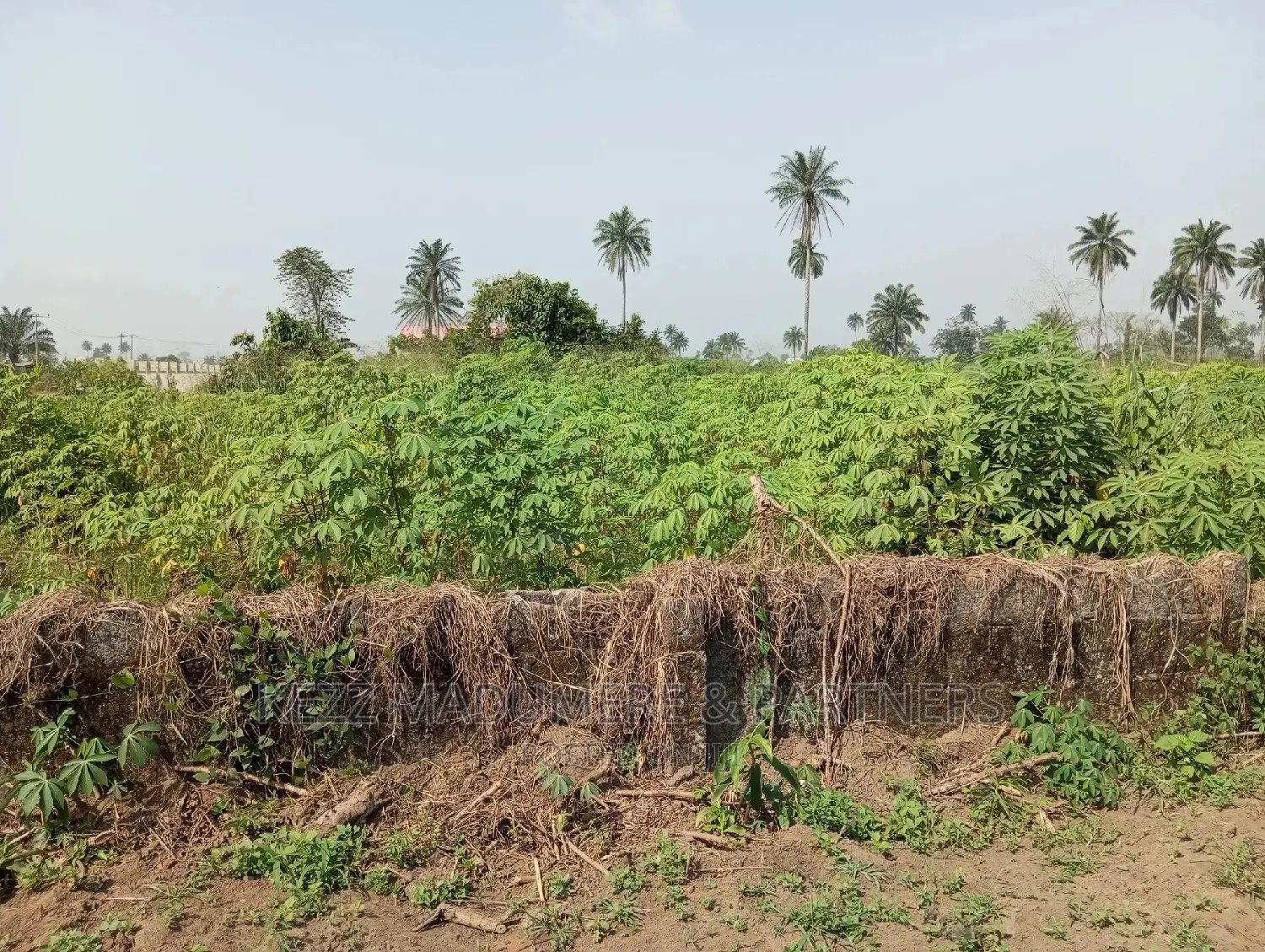 For Sale: 5 Plots at Redeem Camp Road, Rukpokwu in Port-Harcourt