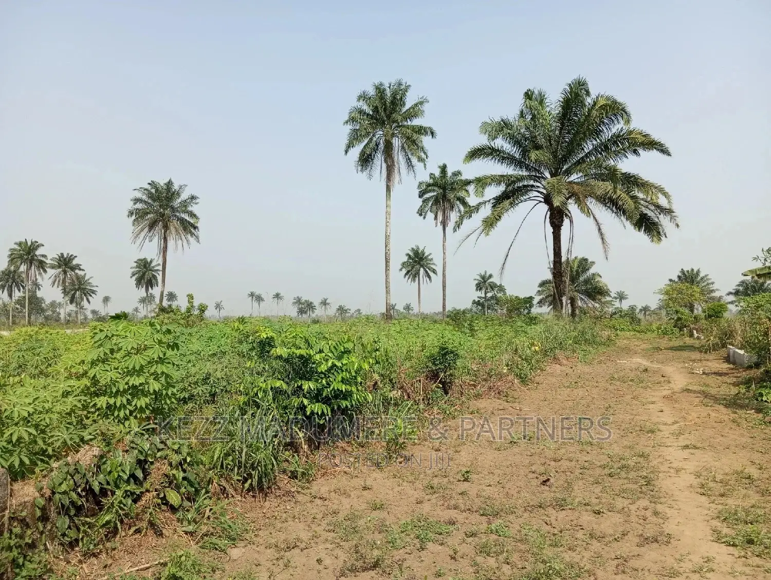 For Sale: 5 Plots at Redeem Camp Road, Rukpokwu in Port-Harcourt