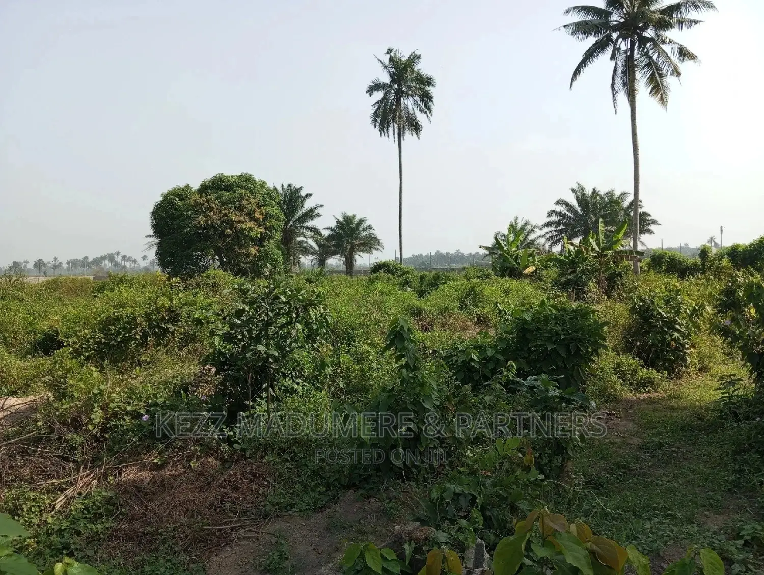 For Sale: 5 Plots at Apu Rd, Rukpokwu in Port-Harcourt