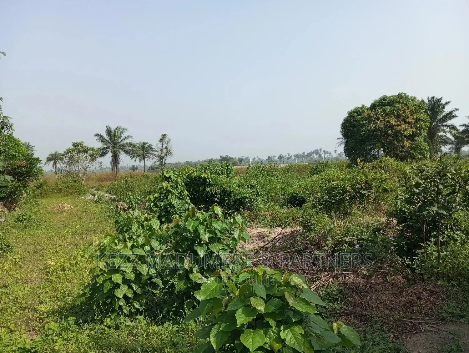 For Sale: 5 Plots at Apu Rd, Rukpokwu in Port-Harcourt