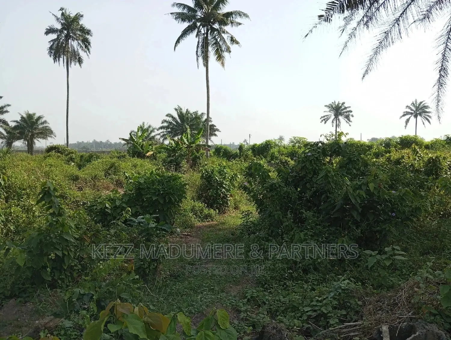 For Sale: 5 Plots at Apu Rd, Rukpokwu in Port-Harcourt
