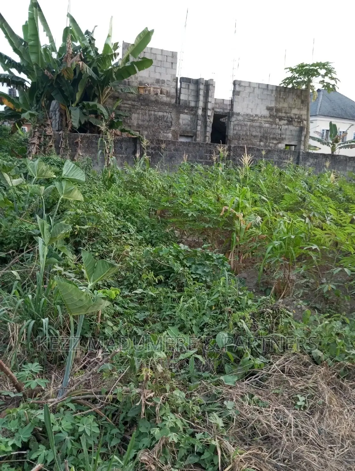 For Sale: 1 Plot at AMECHI PRIMARY SCH , RD EST, RUMUOSI in Port-Harcourt