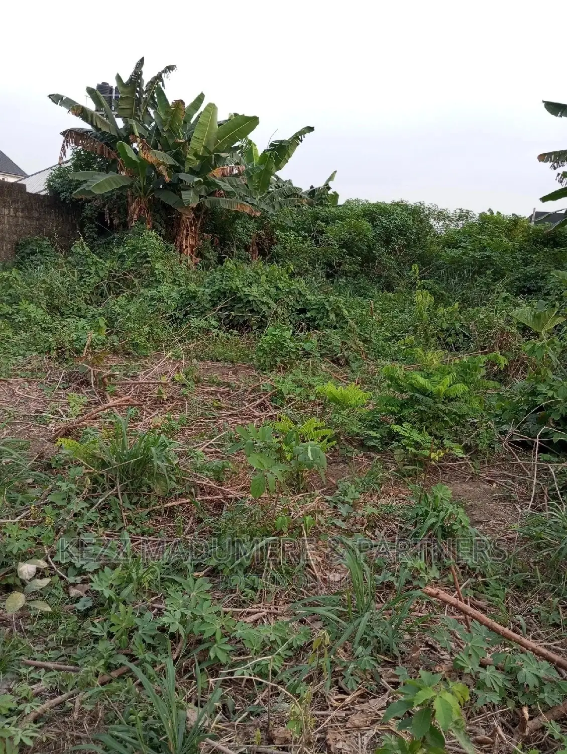For Sale: 1 Plot at AMECHI PRIMARY SCH , RD EST, RUMUOSI in Port-Harcourt