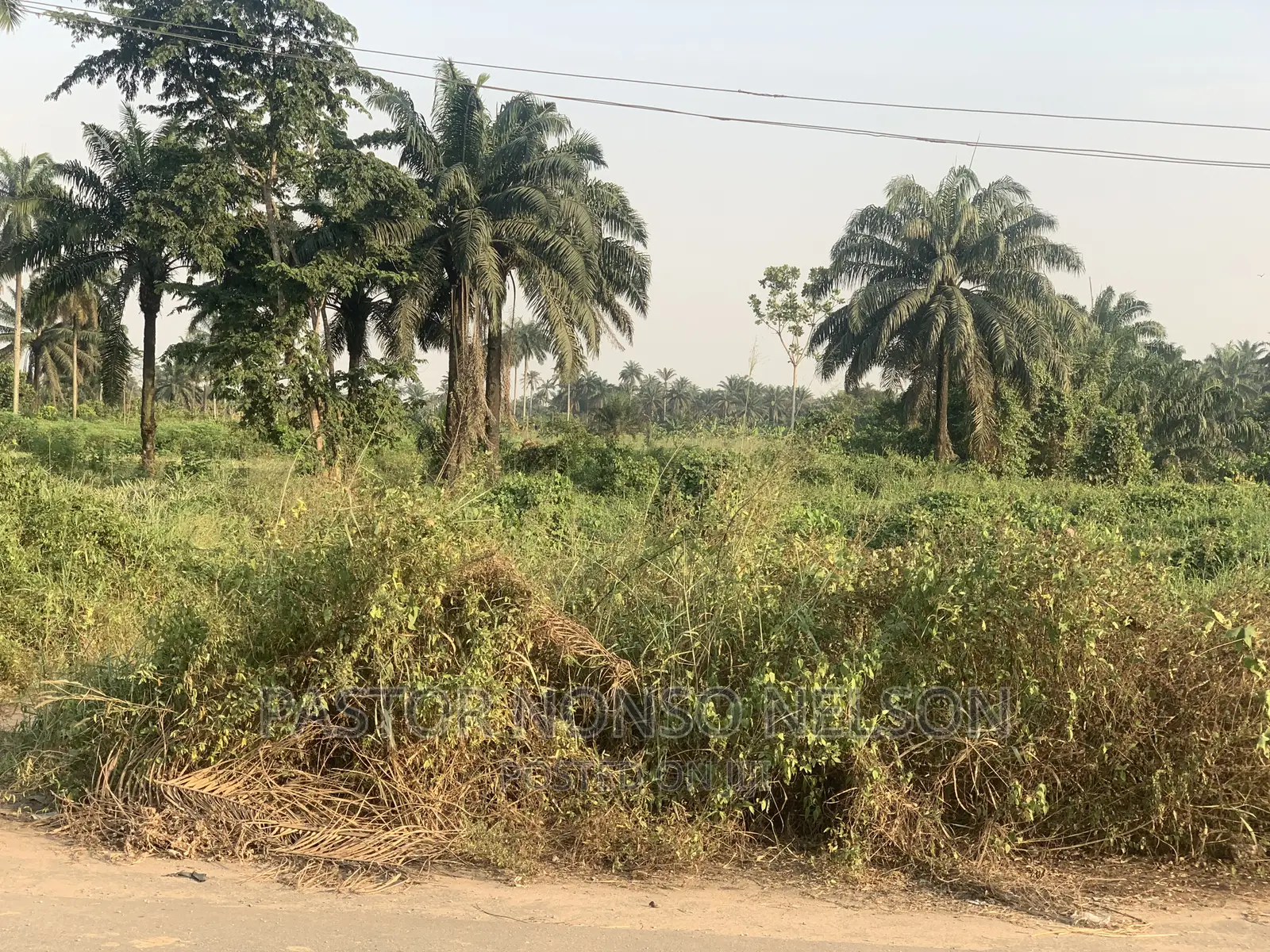 82plots of Land, Facing Owerri/Portharcourt Road(Umuapu) in Ohaji/Egbema