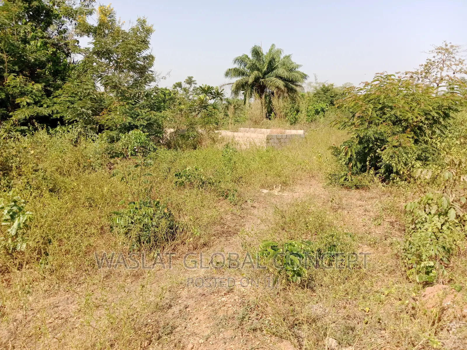 Plots Of Land At Alatori Aganga Area Osogbo in Osogbo