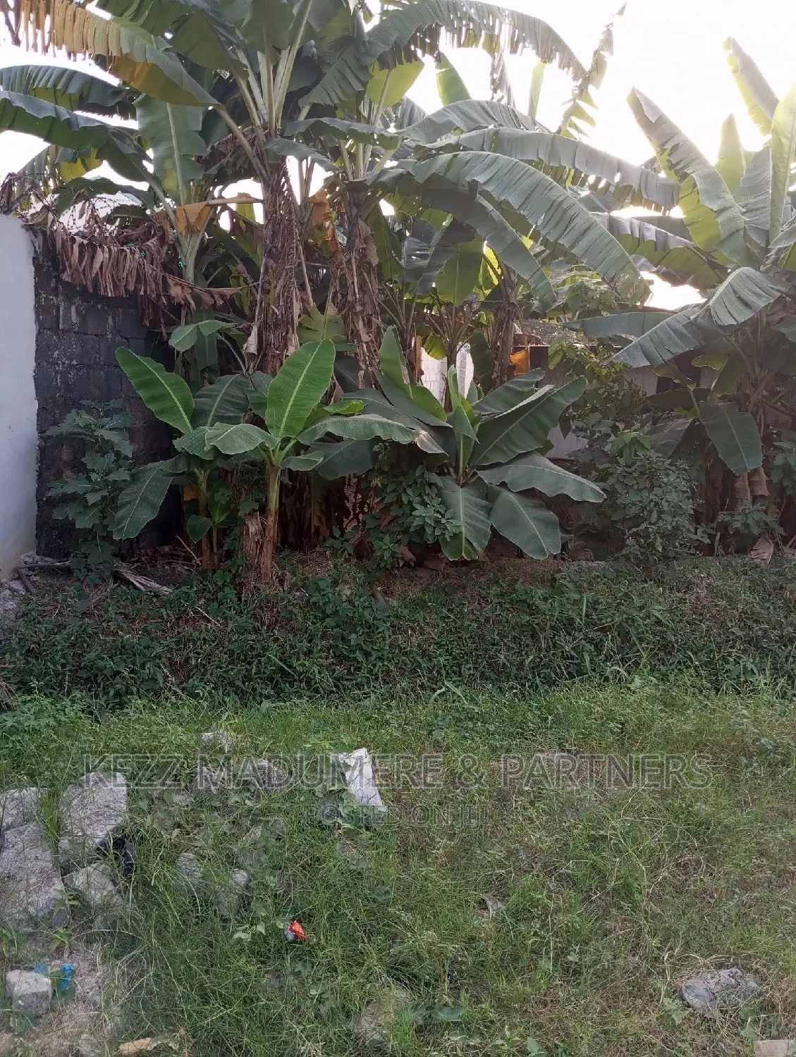 For Sale Land at Ozuoba, Port Harcourt in Port-Harcourt