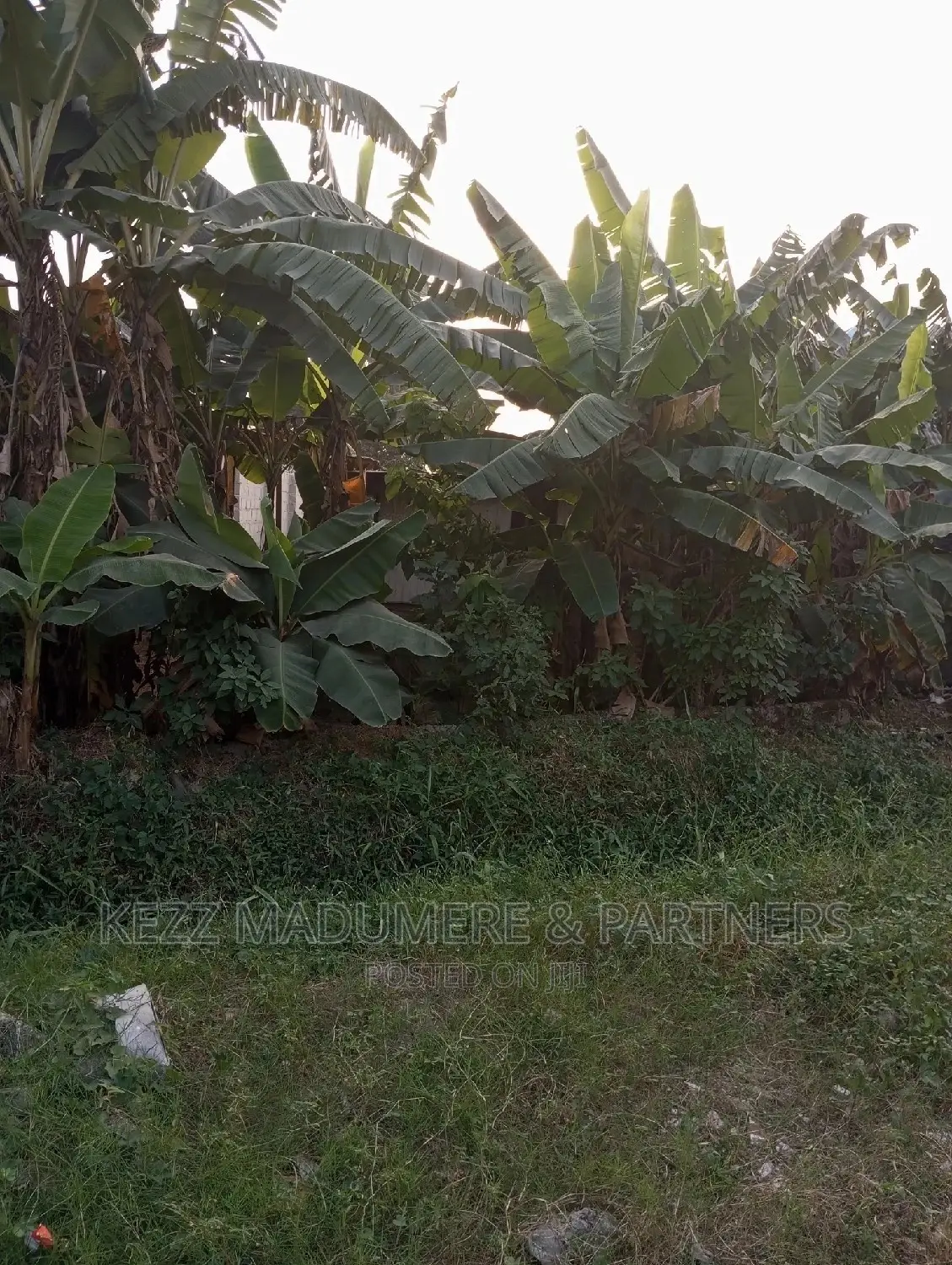 For Sale Land at Ozuoba, Port Harcourt in Port-Harcourt