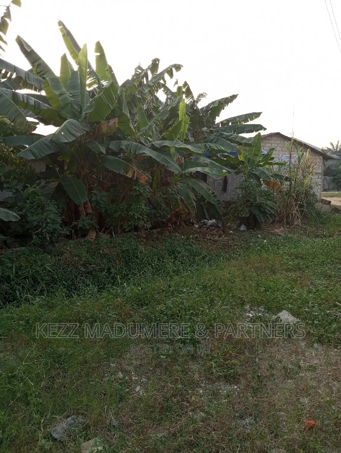 For Sale Land at New Gra 5 Ozuoba in Uzoba