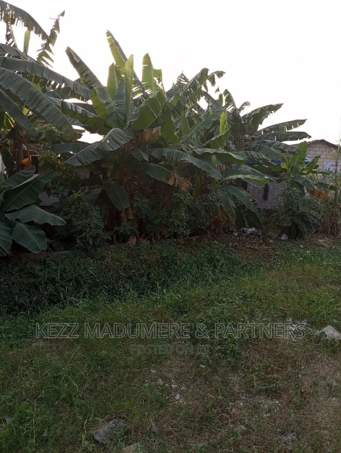 For Sale Land at New Gra 5 Ozuoba in Uzoba